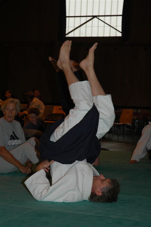 Aikido 011