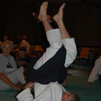 Aikido 011