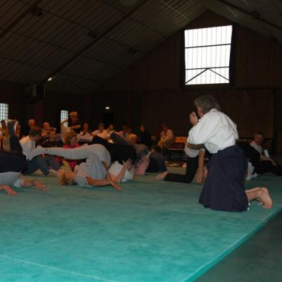 Aikido 012