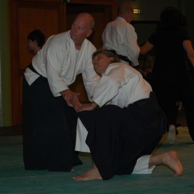 Aikido 022