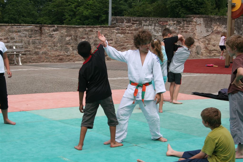 Démonstration Aikido à Marmoutier_20060628_030