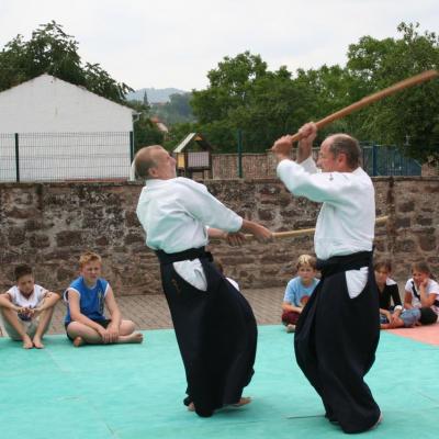 Démonstration Aikido à Marmoutier_20060628_068