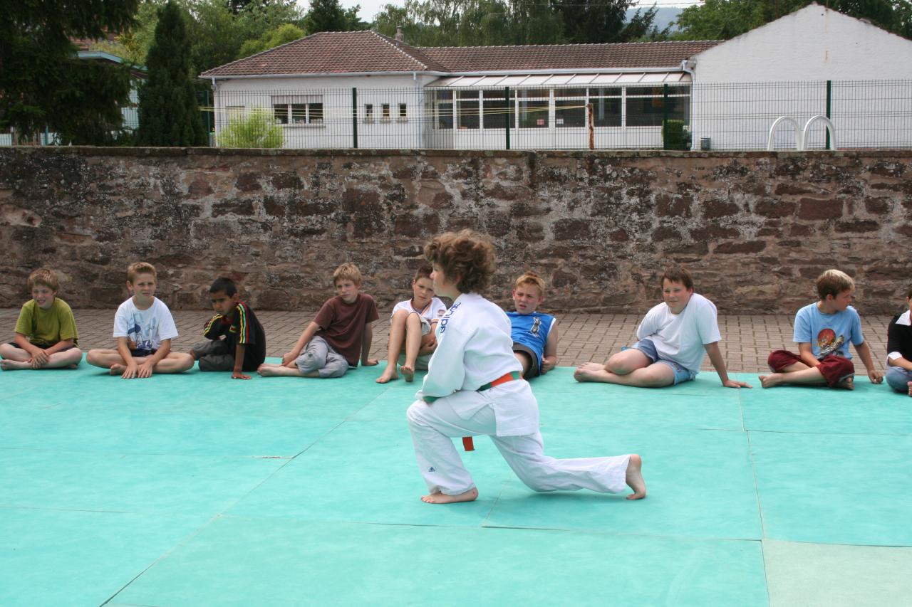 Démonstration Aikido à Marmoutier_20060628_077