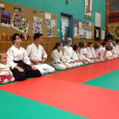 dojo 1